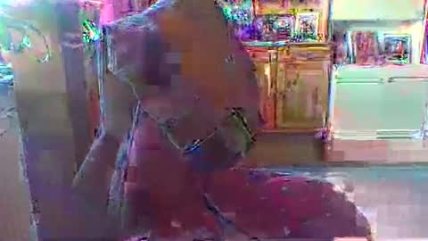 Snapshot of bestmann979994 chatting on March 1, 2026, 4:20 pm bestmann979994 online show from March 1, 2026, 4:20 pm