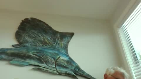 bestshot1951 online show from March 20, 2026, 1:49 pm