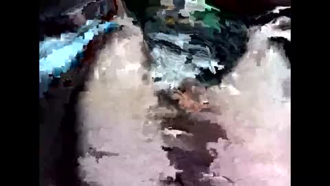 bigbird0100101 online show from February 7, 2026, 6:55 pm