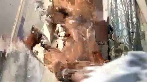 bigblackcockmello online show from December 19, 2024, 1:28 am