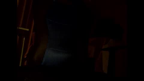 bigbro0007 online show from November 25, 2025, 7:03 pm