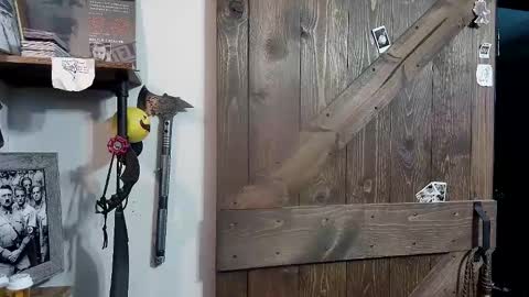 Snapshot of bigdbrillion chatting on February 12, 2025, 4:23 am Darryl online show from February 12, 2025, 4:23 am