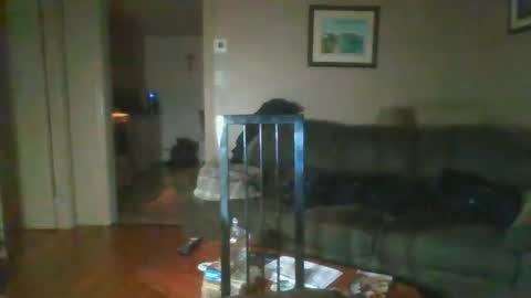 bigdeer581917471 online show from February 1, 2025, 8:08 am