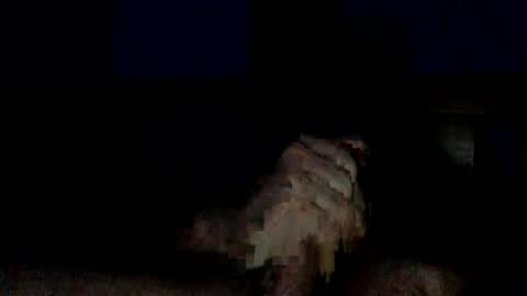 BigThickJuicy Cock online show from November 11, 2025, 8:47 am