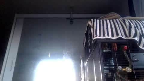 bigdickdangles472924 online show from September 19, 2025, 6:08 pm