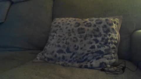 Snapshot of bigdt444420 chatting on November 17, 2025, 5:13 am bigdt444420 online show from November 17, 2025, 5:13 am