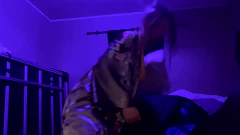 Snapshot of bigkitties69 chatting on January 23, 2025, 2:17 pm Bigkitties online show from January 23, 2025, 2:17 pm