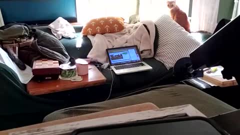 bigmanaround9 online show from February 3, 2025, 9:07 pm