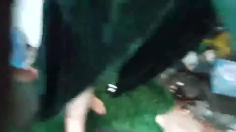 bigmanaround9 online show from September 15, 2025, 8:47 am