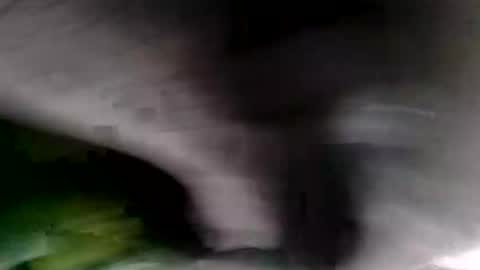 bignastyfilthy online show from January 19, 2026, 2:15 am