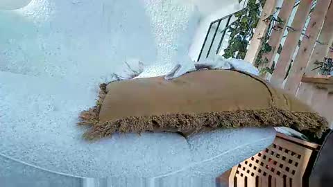 bigo290 online show from October 5, 2025, 2:04 pm