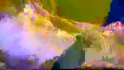 bigrig online show from December 10, 2024, 12:16 pm