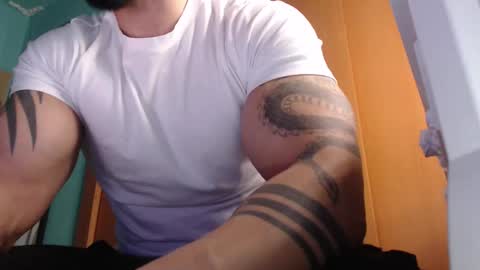 BigStallion online show from October 28, 2025, 11:51 pm