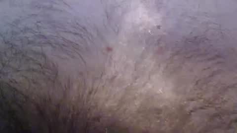 Snapshot of bigstudjohn22 chatting on November 16, 2025, 8:53 am bigstudjohn22 online show from November 16, 2025, 8:53 am