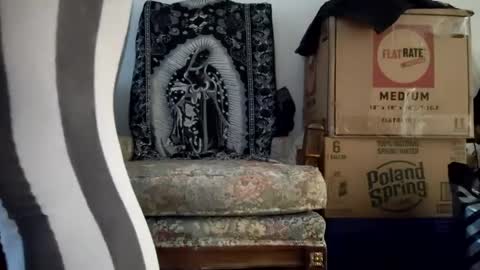 bigtopcircus online show from September 22, 2025, 10:56 pm