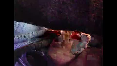 bilco03 online show from October 29, 2025, 11:56 am