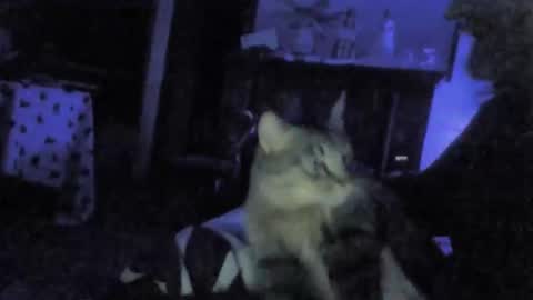 billenews online show from February 26, 2026, 6:01 am