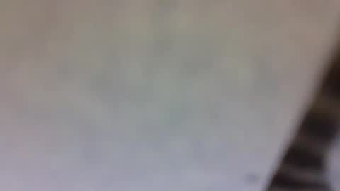 billmenow141 online show from March 10, 2025, 10:59 am