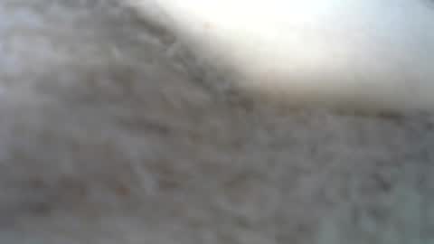Snapshot of billpark20 chatting on May 22, 2026, 2:30 am billpark20 online show from May 22, 2026, 2:30 am