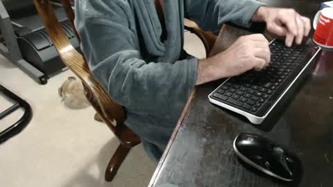 billy471 online show from December 10, 2024, 11:32 am