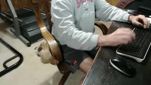 billy471 online show from January 5, 2025, 9:14 pm