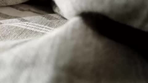 billy7801801010 online show from February 20, 2026, 1:13 am