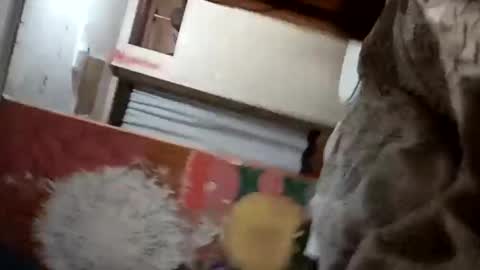 Snapshot of bitchassnig23401rb chatting on November 5, 2025, 12:05 pm bitchassnig23401rb online show from November 5, 2025, 12:05 pm