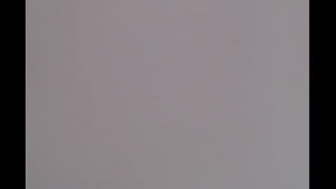 bivi  hot online show from January 16, 2025, 1:36 pm