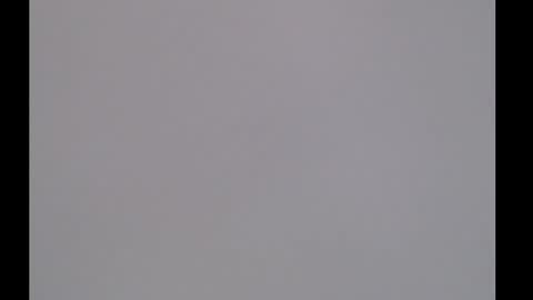 bivi  hot online show from January 20, 2025, 1:11 pm