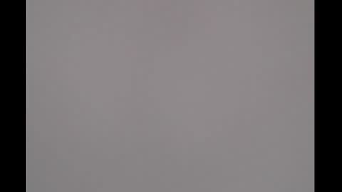 bivi  hot online show from March 11, 2025, 1:12 pm