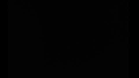 bivi  hot online show from March 12, 2025, 12:57 pm