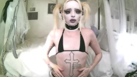 vampire fang  online show from February 18, 2026, 11:01 pm