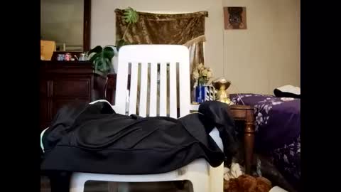 Snapshot of blacccocc4u2 chatting on March 29, 2026, 12:16 pm blacccocc4u2 online show from March 29, 2026, 12:16 pm