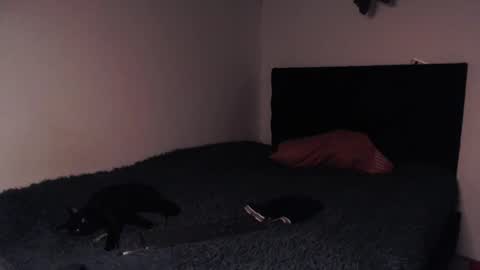 Snapshot of black_firex chatting on October 8, 2025, 9:34 pm black_firex online show from October 8, 2025, 9:34 pm