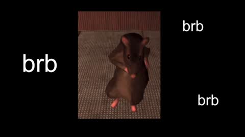  Black Kittie    Wednesday - 1300 - 1900 GMT help me get 100 thumbs up online show from January 20, 2025, 1:21 pm