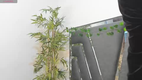 B L A C K  R O S E  online show from February 10, 2025, 11:46 am