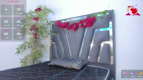 B L A C K  R O S E  online show from February 19, 2025, 11:28 am