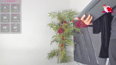 B L A C K  R O S E  online show from March 10, 2025, 11:42 am