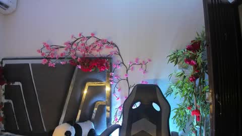 B L A C K  R O S E  online show from November 9, 2025, 11:19 am