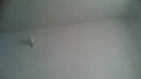 black african online show from November 15, 2025, 5:27 am