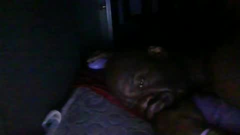 blackteddybear online show from February 18, 2026, 3:24 am