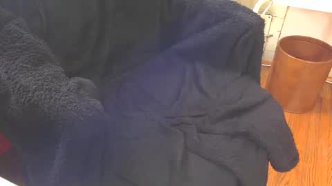 Aqua online show from February 18, 2025, 6:47 pm