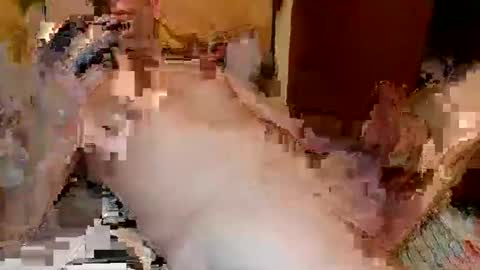 Snapshot of blagoy07 chatting on December 15, 2025, 11:09 pm blagoy07 online show from December 15, 2025, 11:09 pm