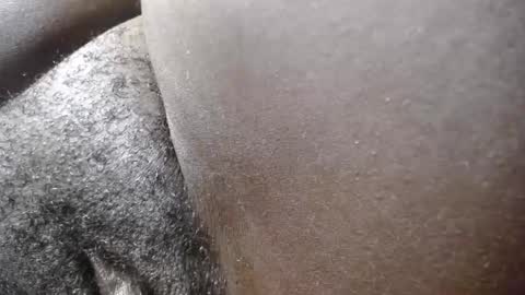  cherry  online show from September 14, 2025, 5:23 pm