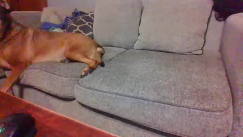 blaw_1321 online show from November 23, 2025, 9:47 pm