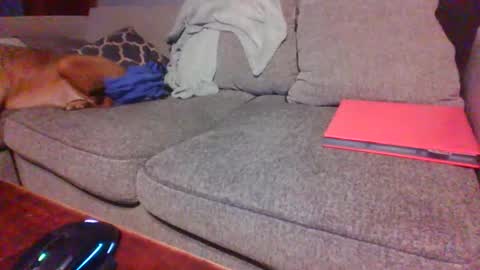 blaw_1321 online show from December 1, 2025, 2:05 am