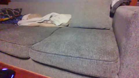 blaw_1321 online show from April 16, 2026, 7:31 am