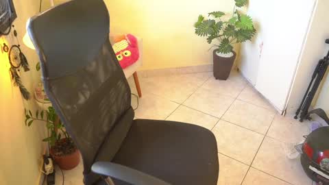 FLORAA online show from February 13, 2025, 10:34 am