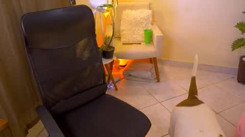 FLORAA online show from February 19, 2026, 1:18 pm