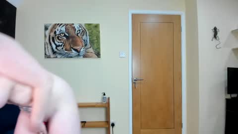 to see lou offline  online show from December 7, 2024, 11:18 am